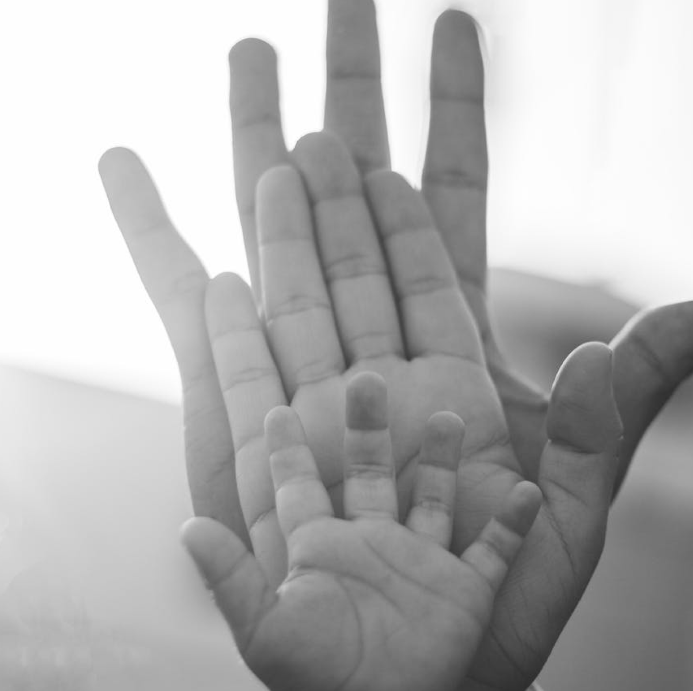 Adult and child hands together