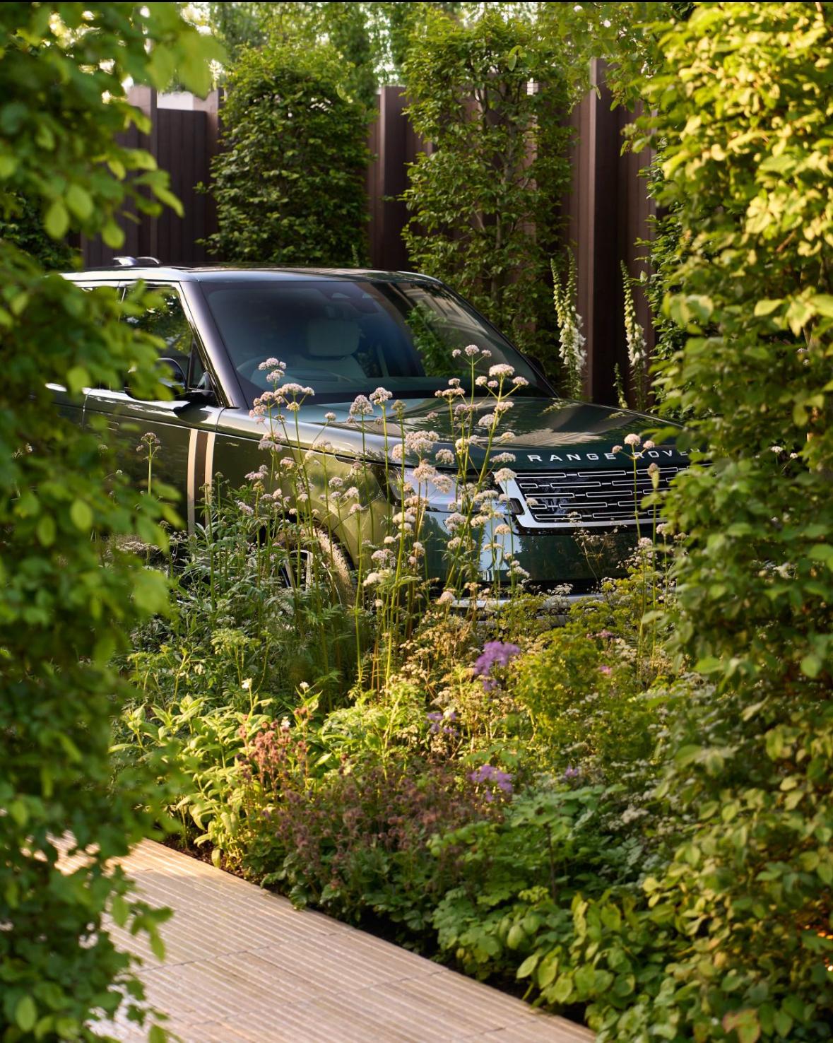 Luxury automotive showroom